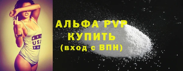 индика Чекалин